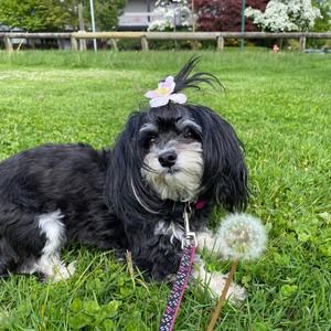 Meet your Posher, Leyna